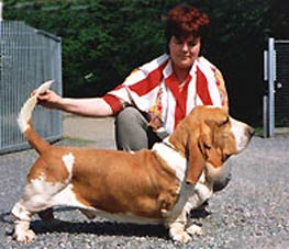 SWED, NOR, CH. Switherland sandpiper