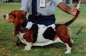 Lebelier Lady Of The Glen