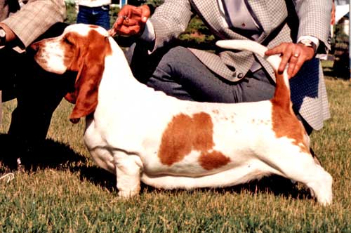 Rivendell's Bijou Rouge