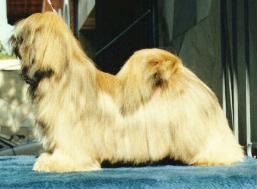 Clark Kent of Excalibur Quest