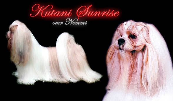 KUTANI SUNRISE OVER NEMMI