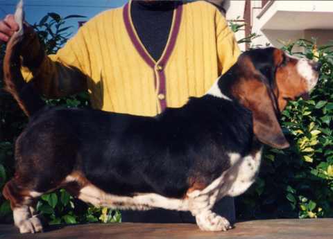 Moka dos sete moinhos