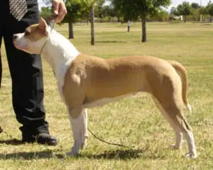 Songs of Freedom Five-O TSK