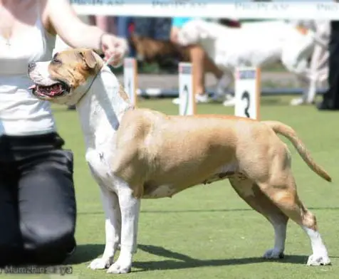 Puerta Del Sol De M'A'M