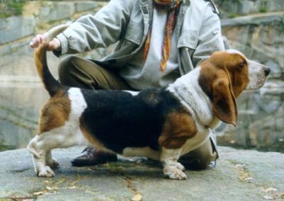 Judita Bohemia Horrido