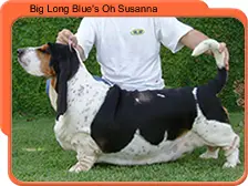 Big-Long-Blue Oh Susanna