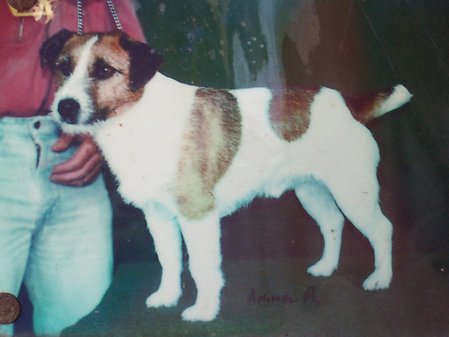 Chumcreek/JR Coolabah