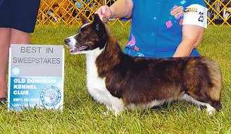 Phi-Vestavia Cameron Brig