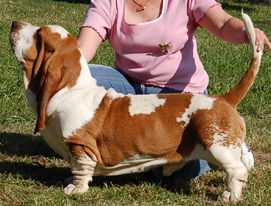 Nicholas Turguesa playa