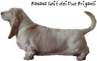 Banana Split 'dei Due Briganti'