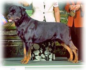 CH Highlanders Khan-Frontation