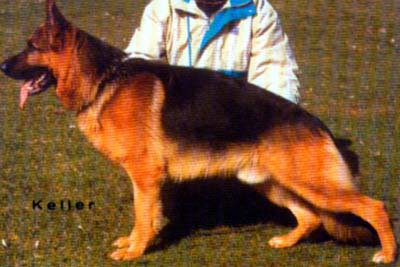 V71 Aksel von Batu