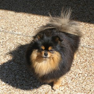 Carleez Made to Order