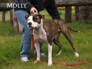 Douthit's Molly