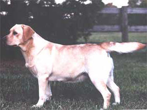 Labwell's Take Another Look