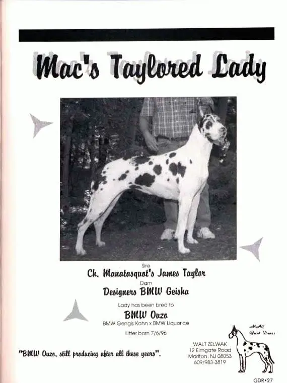 Mac's Taylored Lady