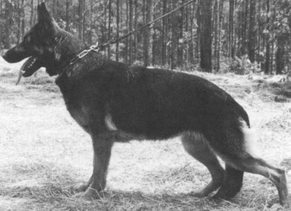 Gitta von Löllmannshof