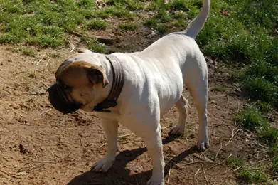 EAB's Full Metal Jacket