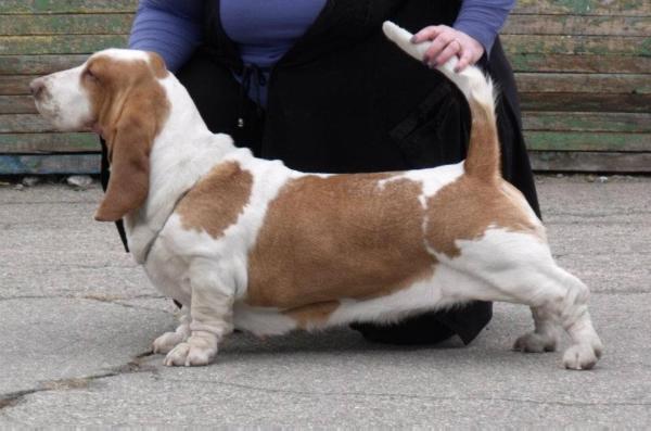 Grand Twintip ENIGMA OF THE UNIVERSE