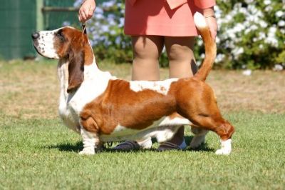 Longbay Anything Goes