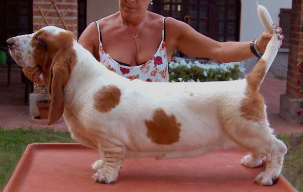 SPecial Effects Del Lungobasso