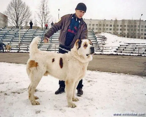 Rahmet