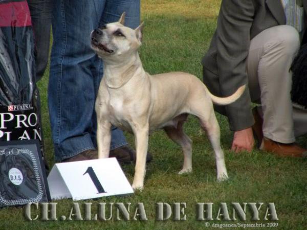 CH Aluna de Hanya