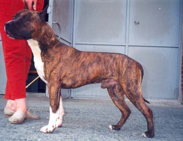 Urok Sasquehanna