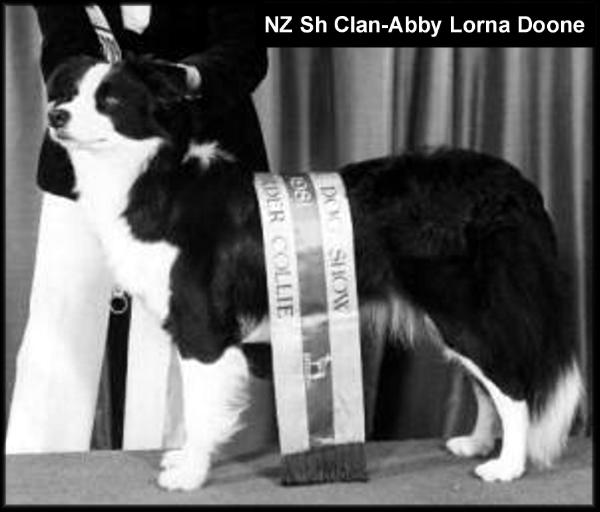 NZ CH Clan-Abby Lorna Doone