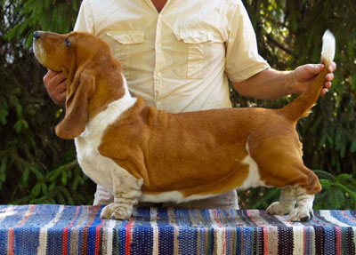 Bassbarr My martini Rosso