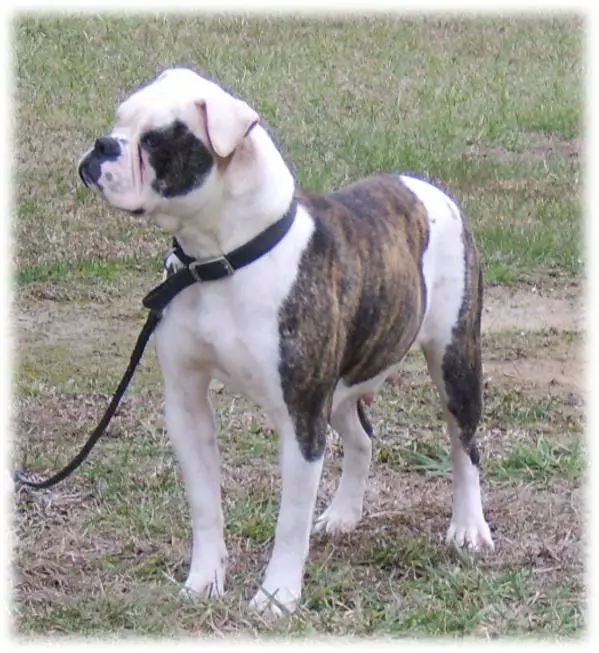 OVB's Amazing Grace AKA Grace
