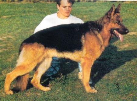 V Kevin vom Schloß Rosenfels