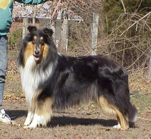 N/E Van-M Make a Play