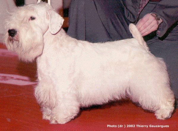 CH INT, FR, SU, Pilgrim'S Hill Des Sables Du Nord