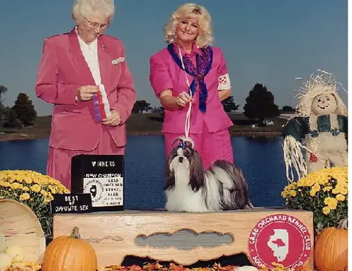 CH. Sukara's Think'N About Ta-Maro