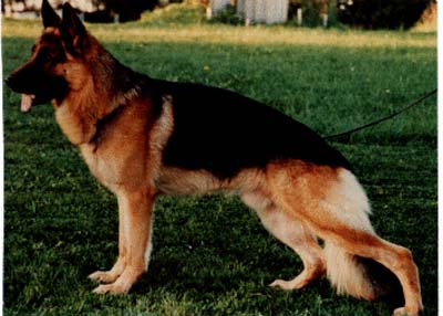 V Hanko vom Friedenspark