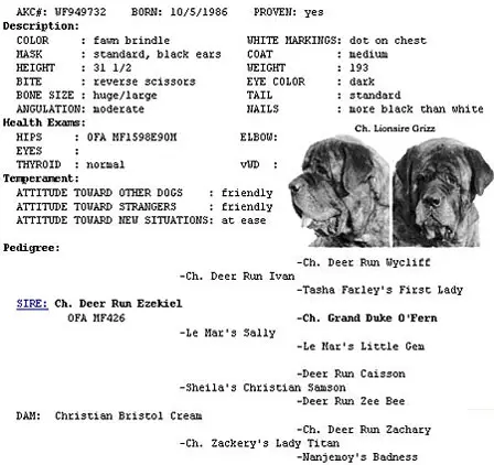 CH Lionsire Grizz