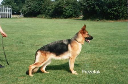 Zara von der Ramhorst