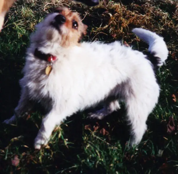 Dotti's Girl