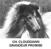 CH Clouddawn's Grandeur Promise