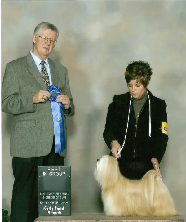 Tru Blu Boston Cream Pie