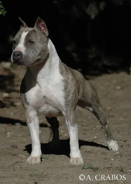 Viskaya du Domaine de Zeus