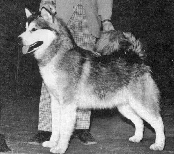 Frostfield Kotzebue Kobuk