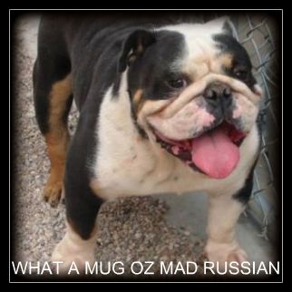 What a Mug Ozzie the Mad Russian