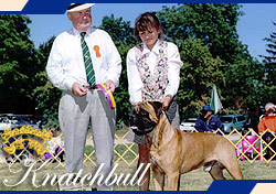 Knatchbull's Mister Worf