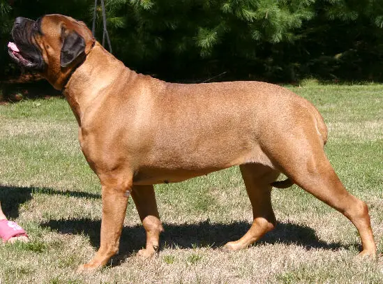 Garroway's Y-Not Say Amen