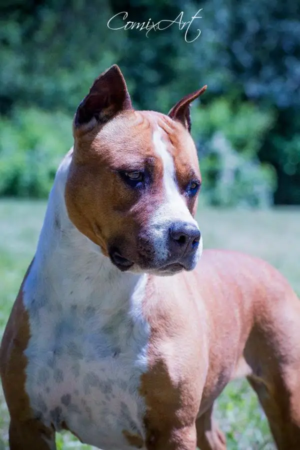 Absolute Pink is Punk in Lelen