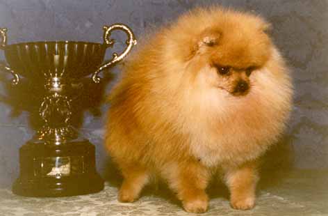 SPA, INTCH, EUW'92 Jeribeth Chisco Zugasti