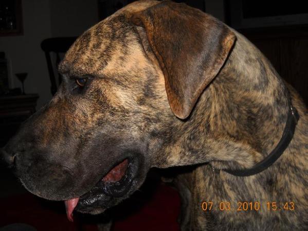 Brd's Sonny's Casting A Spell On You