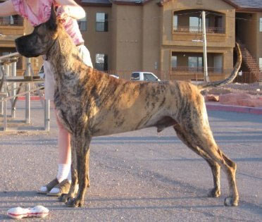 CH SisCo's A Vision In Motion